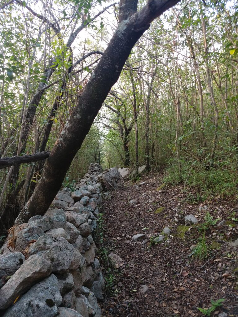 Camino ascendente en la sierra